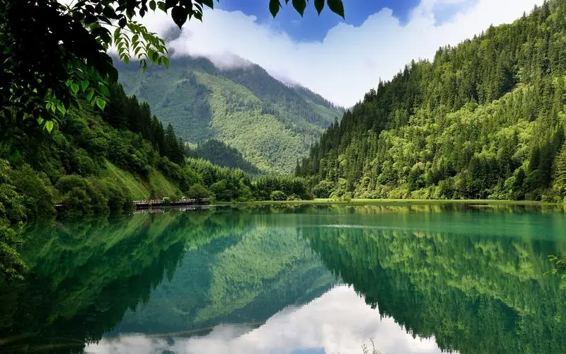 高效高端